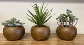 Set of 3 faux plants in matching pots.