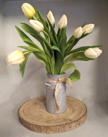 Terriffic tulips