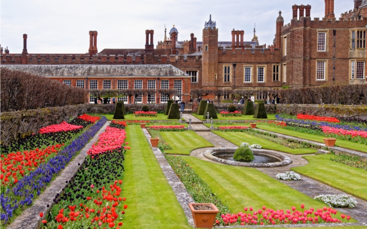 The World's Most Expensive Flowers and What Makes Them Unique