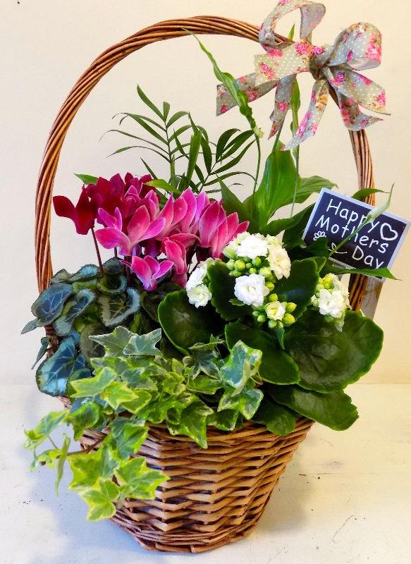 Large Mothers Day baskets