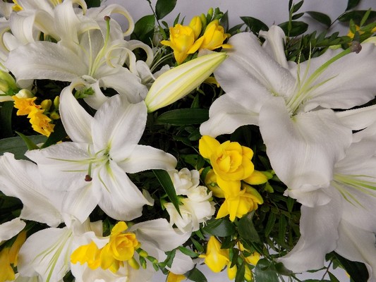 Lily and yellow Freesia Casket Spray