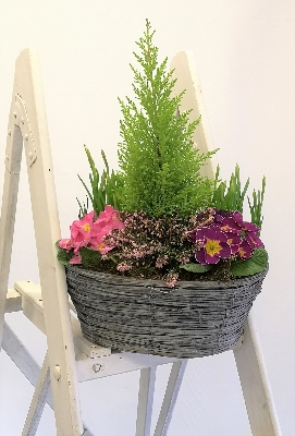 Outdoor Planted Basket