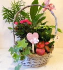Large Mothers Day baskets
