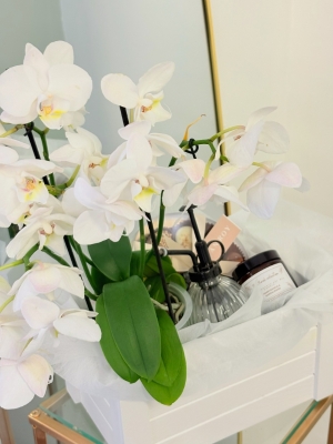 The Orchid Gift Set