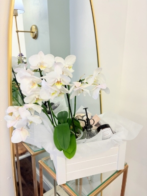 The Orchid Gift Set
