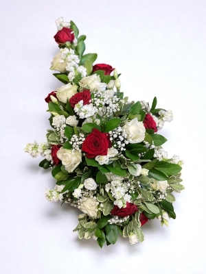 Red and White Single Ended Spray