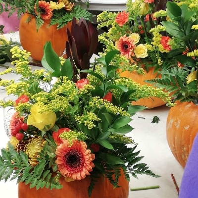 Floral Pumpkin arrangement workshop   Saturday 25th October 1:30pm