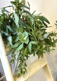 Simply eucalyptus