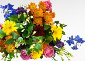 Bright Mothers Day Florist Choice