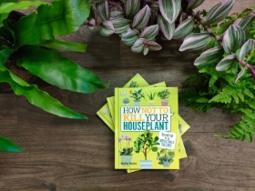 How Not To Kill Your House Plant Book