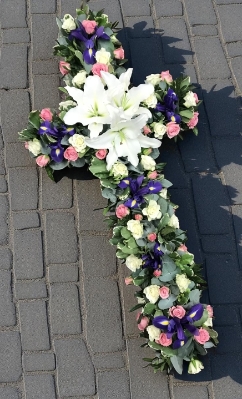Lily Cross