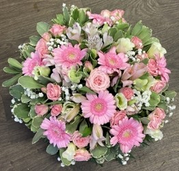 Pink Posy