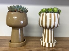 Set of 2 vases