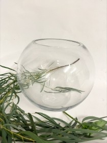 Small Goldfish Bowl