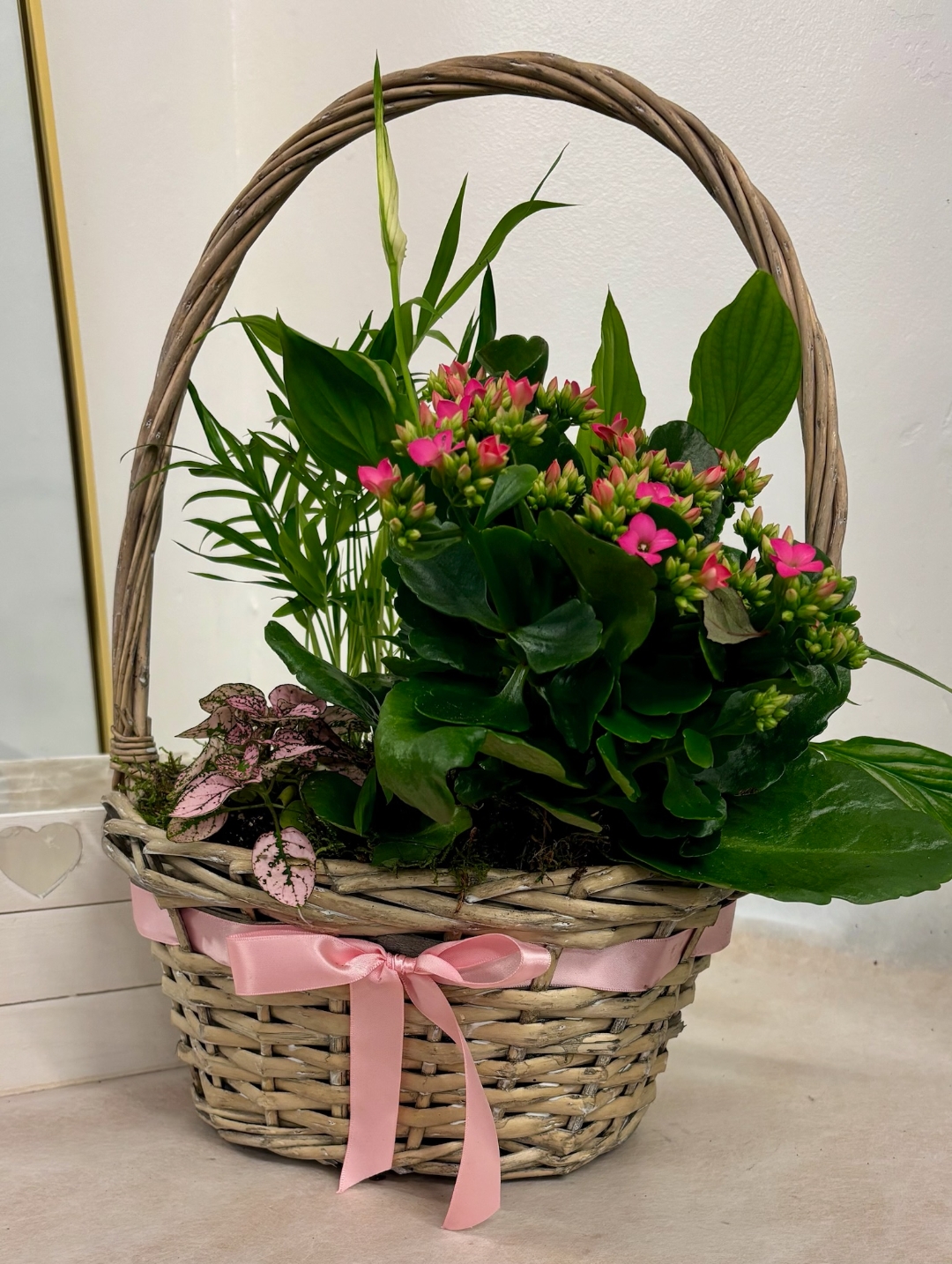 Indoor Planted Basket