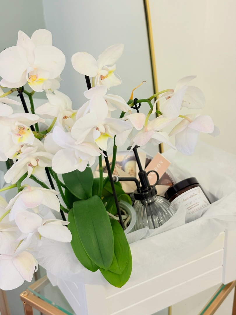 The Orchid Gift Set