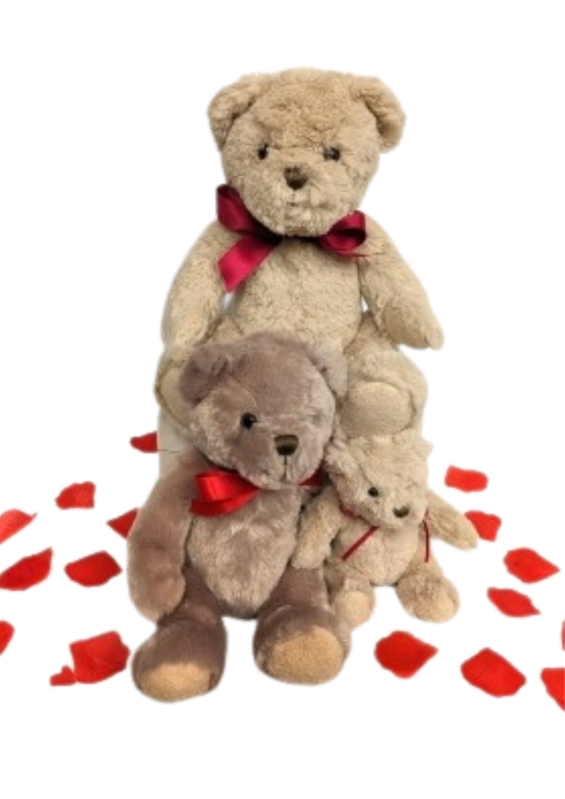 Valentine's teddy bear