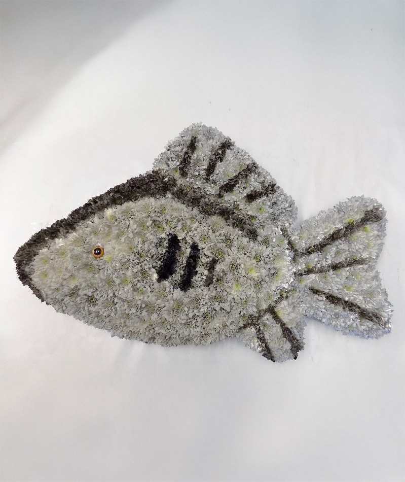 Fish Tribute