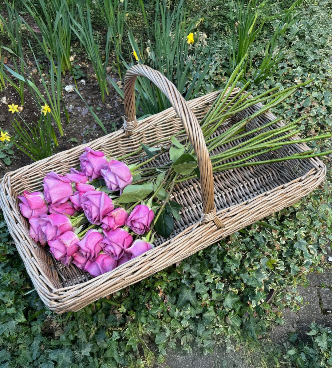 Basket of loose long stemmed roses